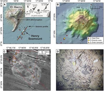 Hydrothermal Activity at a Cretaceous Seamount, Canary Archipelago, Caused by Rejuvenated Volcanism